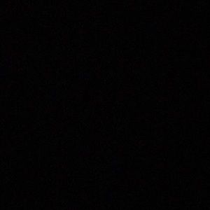 Meet your Posher, Riley